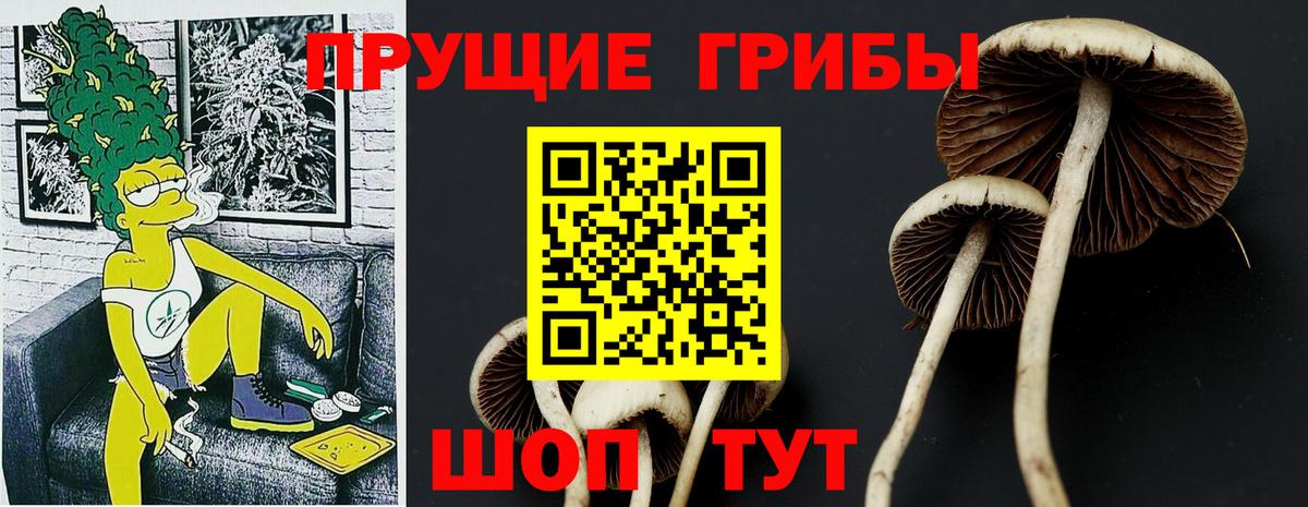 Псилоцибиновые грибы Psilocybe  Вход с VPN  Белорецк 